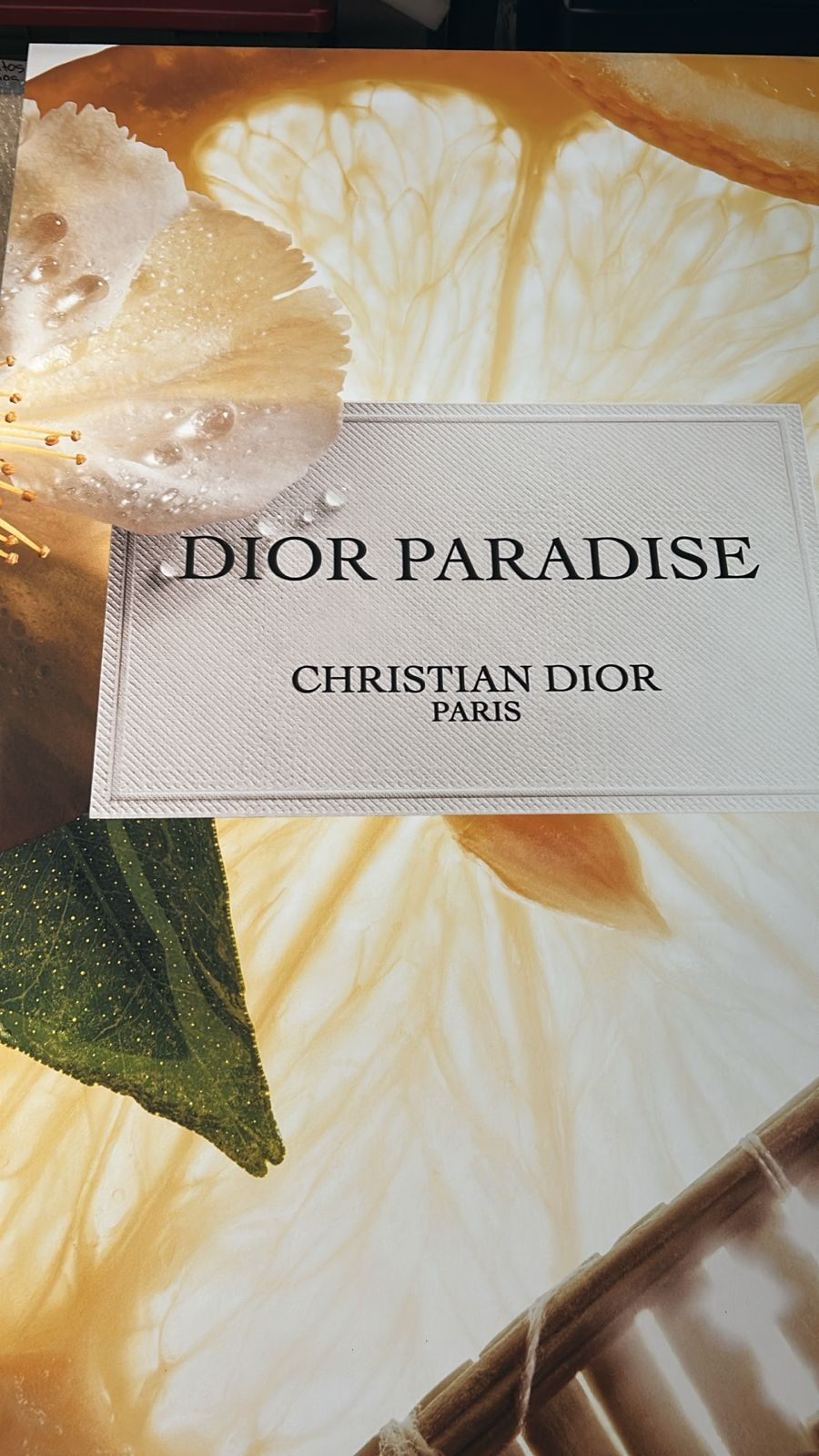 artevisivo-dior-08