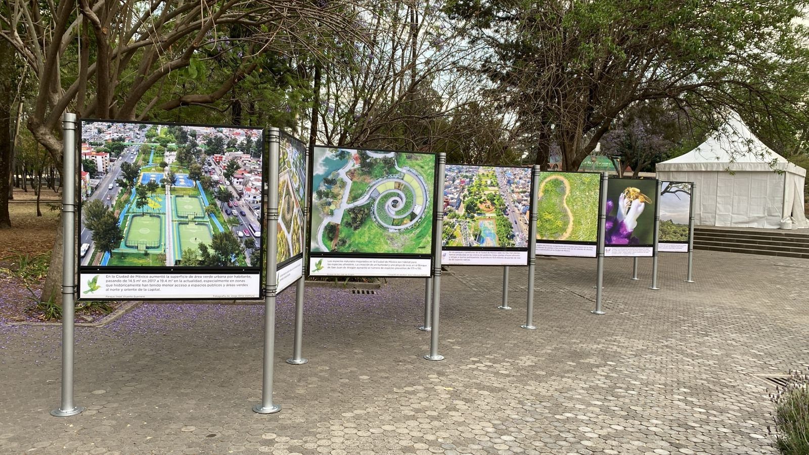artevisivo-exposiciones-04