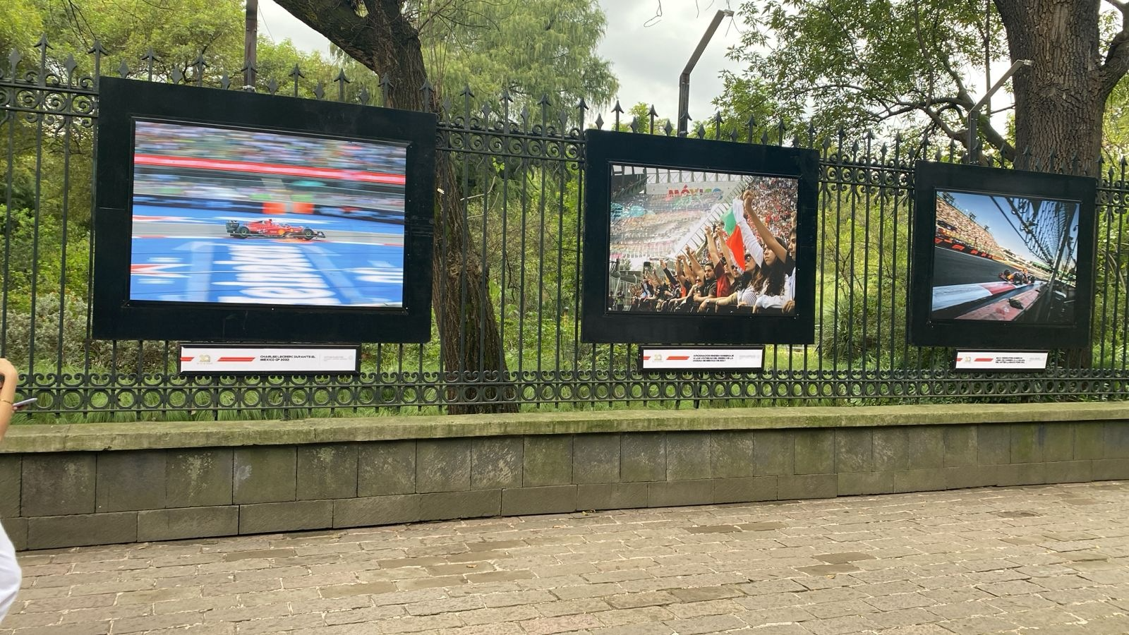 artevisivo-rejas-chapultepec-06